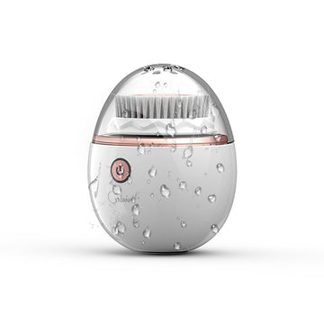 Rechargeable Facial Cleansing Brush